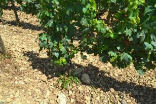 5les clos 1