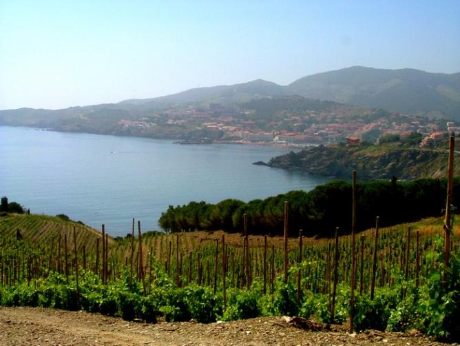 Banyuls mer