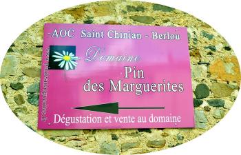 Pin des marguerites 26